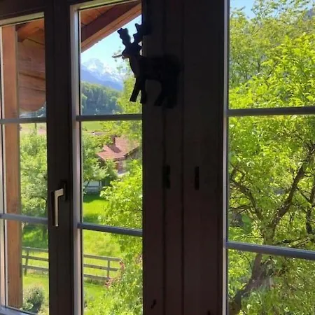 Ferienwohnung Otter By Interhome Lejlighed Wilderswil